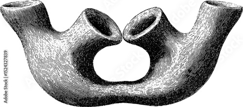 Intricate engraving of morphing dual vessel design for artistic inspiration