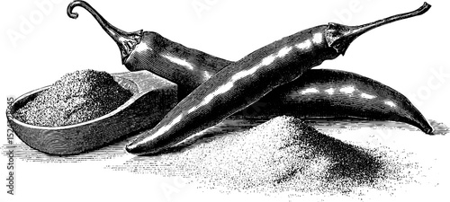 Engraved illustration of paprika peppers and powder collection for culinary designs