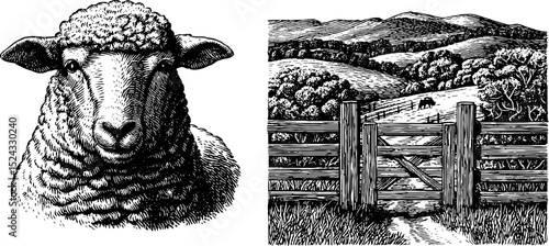 Engraved illustration of sheepdog herding and pastoral scenes for rural design projects