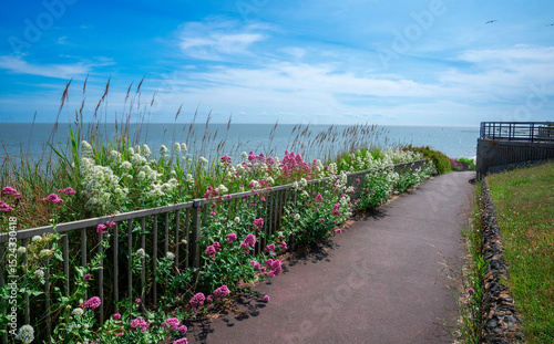 Landscape view of the sea shore in Clacton on Sea with wild flower, blue water and sunny sky in the summertime, in Essex, England