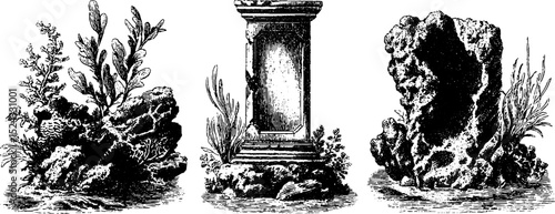Engraved illustration set featuring underwater temple with coral and seaweed elements for artistic design