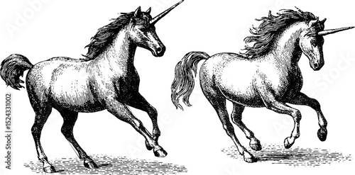 Engraved unicorn illustration set featuring spirals for artistic design use