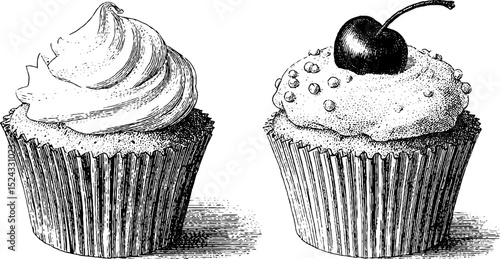 Engraved illustration of vanilla cupcakes with cherry and cream toppings for baking art and design