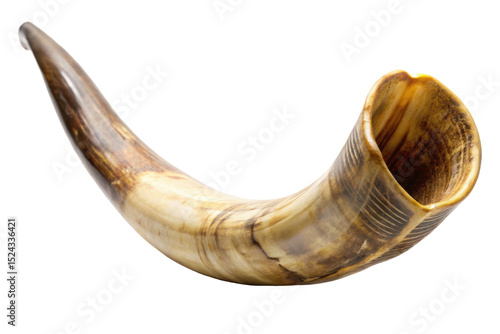 old shofar horn isolated on white