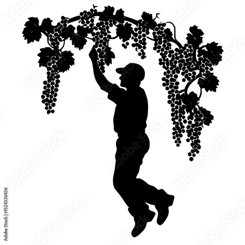 black silhouette of a farmer harvesting grapes from the vine black, branch, farmer, grape, man, silhouette, vine , Generative art.