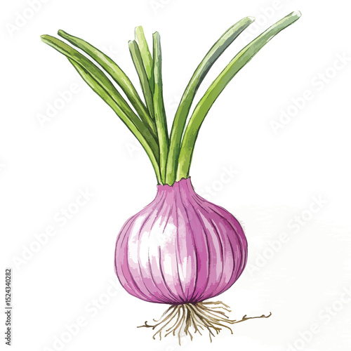 Watercolor Illustration of a Red Onion with Green Stalks and Roots