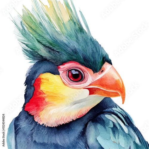 Turaco Close Up, watercolor clipart vector, high quality, isolated on a white background.