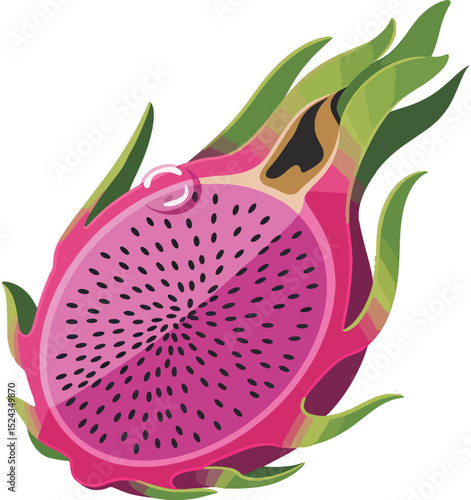"Tropical Dragon Fruit Artwork – Healthy Food Graphic Design"
