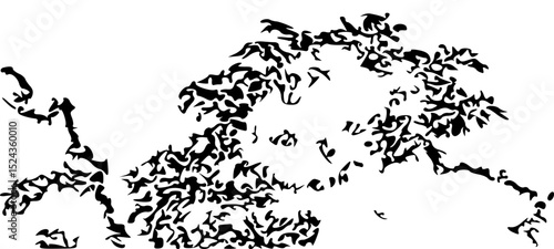 bear on a white background