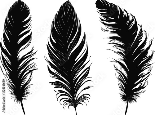 three medium black silhouettes of feathers isolated on white