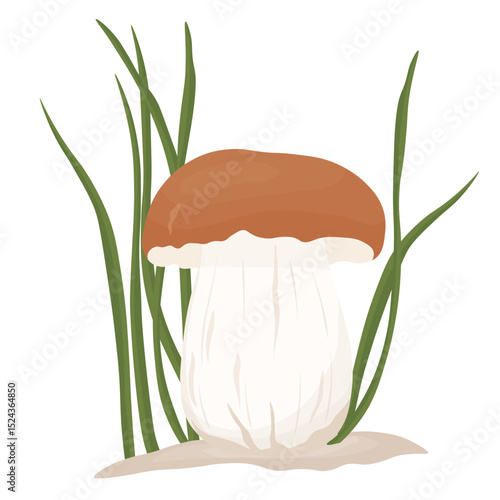 Straw mushroom. Vector Stock Illustration. Isolated on white background. brown hat on stalk.