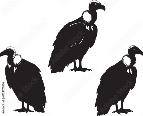 Rumped Vulture icon vector illustration