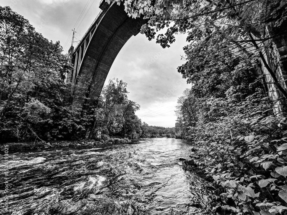 Fototapeta premium Concrete Railway Bridge in the Forest