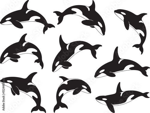 Black and white killer whale orca silhouettes vector set for ocean design