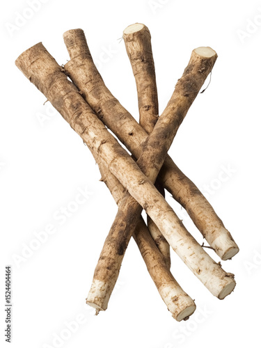 Fresh burdock root sticks arranged on transparency background, showing rough brown skin and natural texture, commonly used in Asian cuisine and herbal medicine