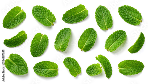 Dry mint leaves with textured surface and subtle vein patterns (third view)