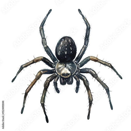 Watercolor Spider with Detailed Body and Spiky Legs Upward Antennae