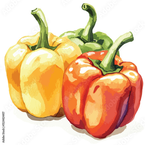 Watercolor Trio Vibrant Yellow Green and Red Bell Peppers Freshly Painted