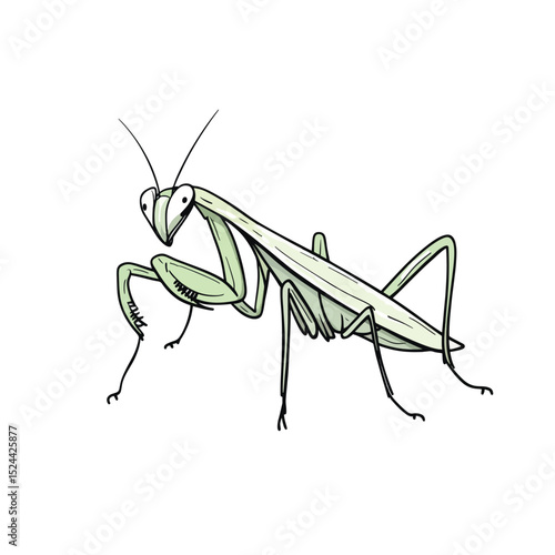 Whimsical Green Praying Mantis Illustration