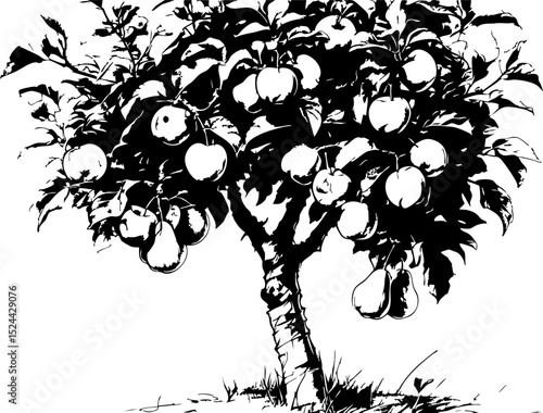 Harvesting apples orchard rural landscape artistic viewpoint organic farming