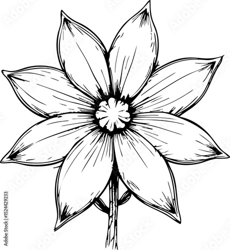 Elegant flower botanical art nature minimalist style close-up view artistic for decor and design