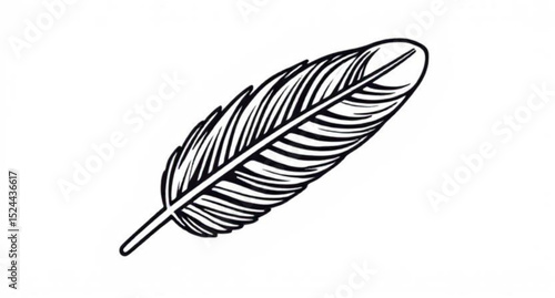 feather isolated on white background