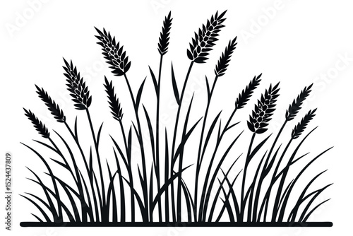 Silhouette of wheat or grain plants growing in the field agriculture design element