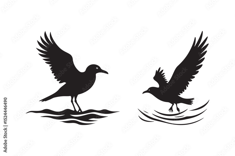 Fototapeta premium Seagull Silhouette Vector Art Birds Flying and Landing on Water