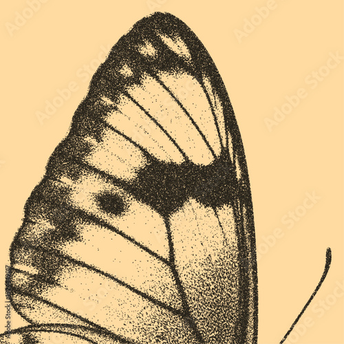 butterfly wing, texture close-up, retro stipple effect, halftone illustration