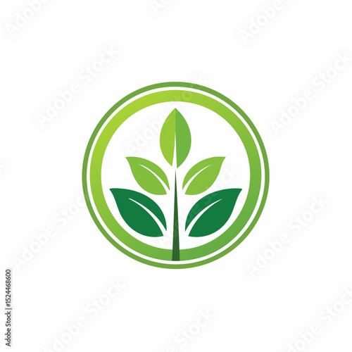 Minimalist Botanical Plant Logo