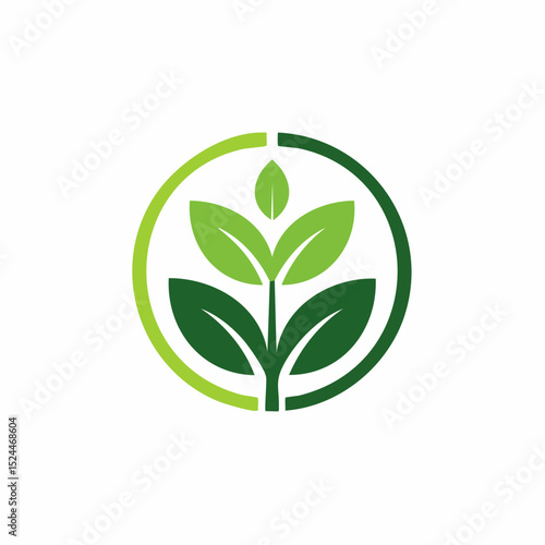 Minimalist Botanical Plant Logo