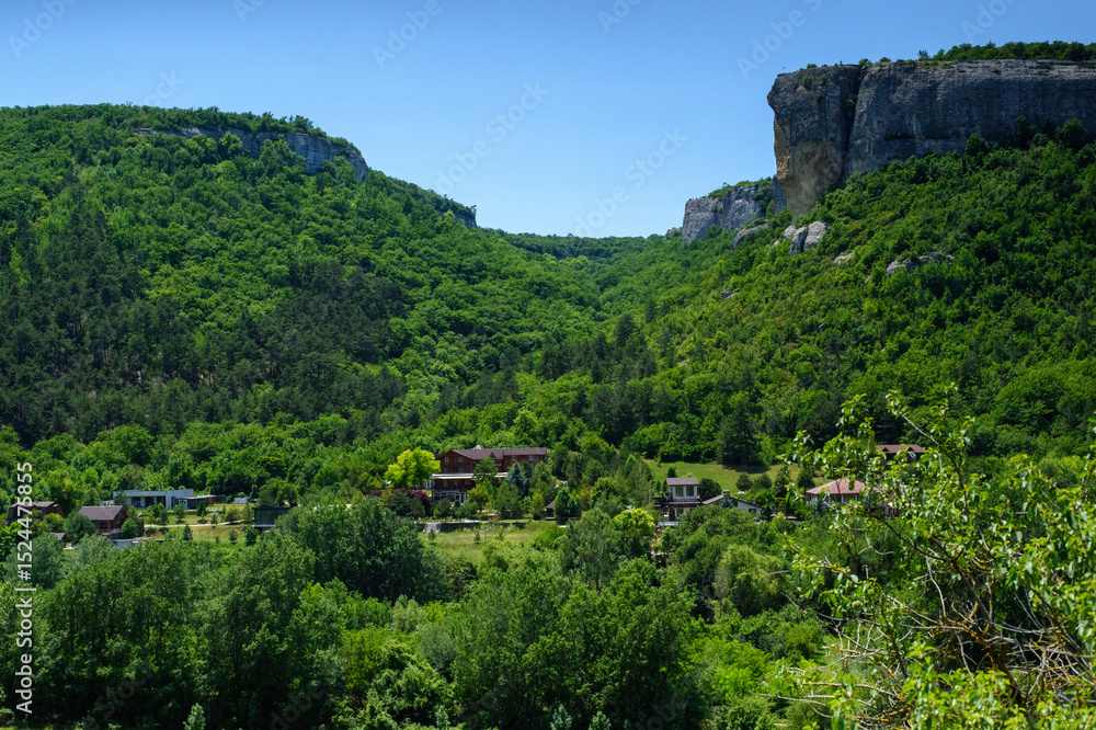 Obraz premium mountain landscape with trees
