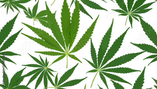 Cannabis or hemp or marijuana green fresh leaf isolated  on transparent background  