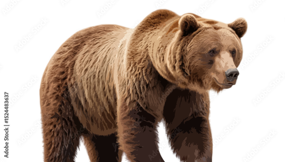 Fototapeta premium Big brown bear isolated on transparent background 