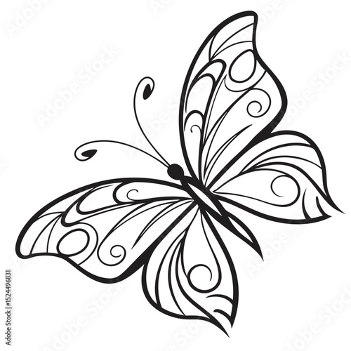 black and white butterfly on white