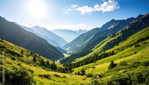 Majestic Alpine Valley: A Breathtaking Panorama of Verdant Slopes and Sunlit Peaks