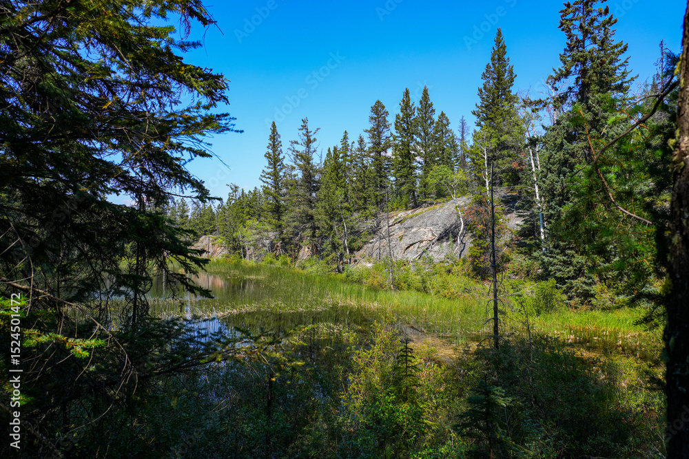Obraz premium Pond of black water in the Valley of the Five Lakes in the Jasper National Park before the 2024 wildfire in Alberta, Canada