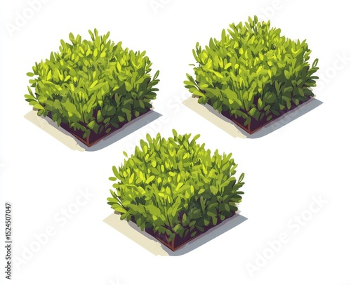 Three square bushes, various shades of green foliage, isometric view