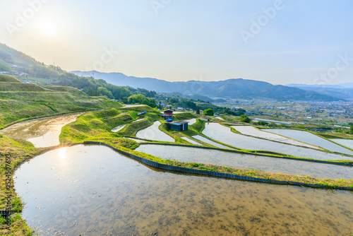 初夏の姨捨の棚田　長野県千曲市　Obasute rice terraces in early summer, Nagano Pref, Chikuma City.
