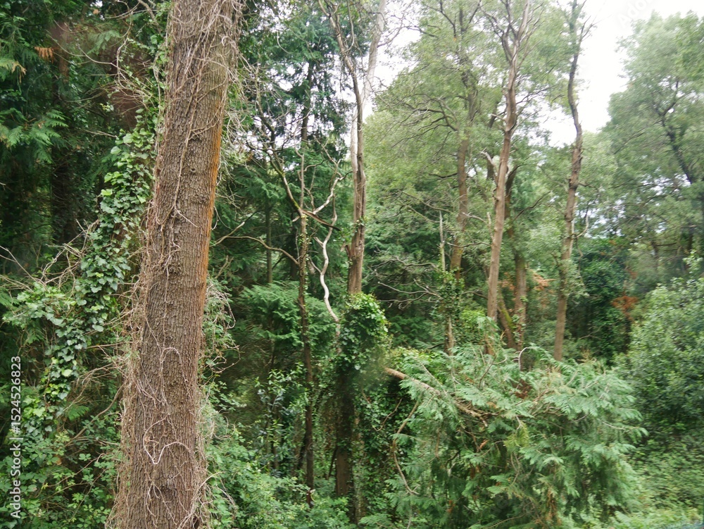Naklejka premium Landschaft von Trapagaran Baskenland