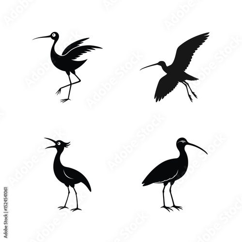 Curlew bird silhouette set with long beak wading bird variations vector illustration.