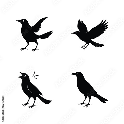 Grackle bird silhouette set with blackbird silhouettes in alert and dynamic poses vector illustration.