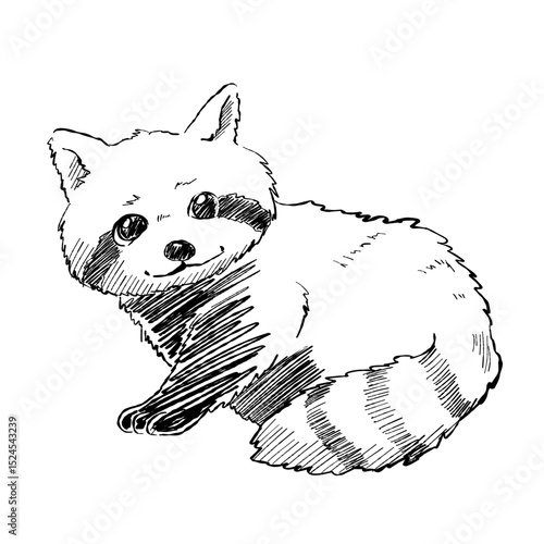 Cartoon drawing of a cute r...