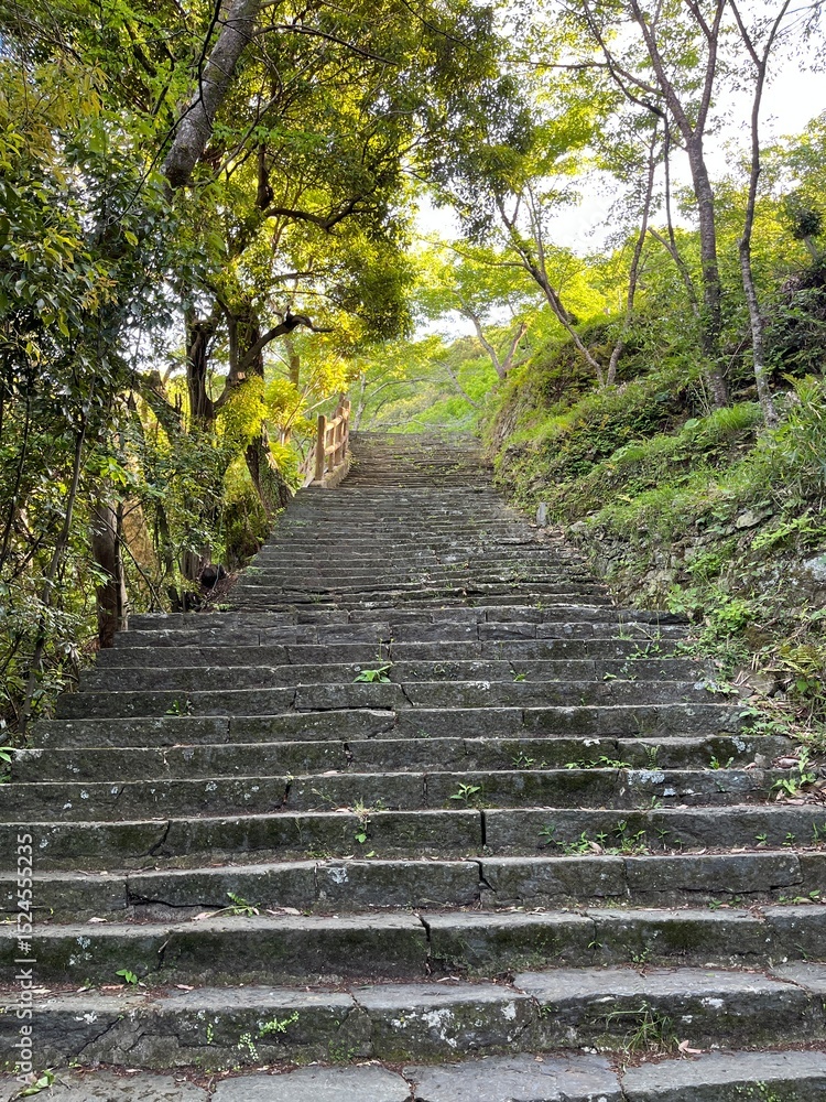 Obraz premium 眉山の山中