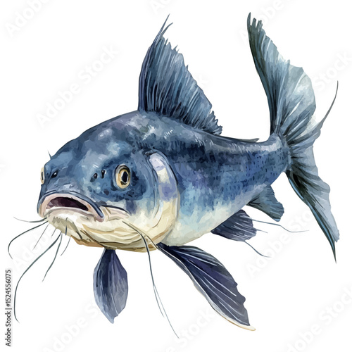 moos_dev_Catfish_high-quality_watercolor_painting_isolated_on_a_2ba61e3f-c43e-4aee-945a-358e075bcde1_top_right