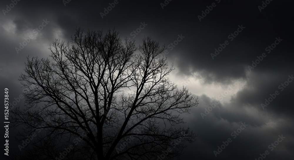 Obraz premium Bare Tree Silhouette Against Dramatic Storm Clouds