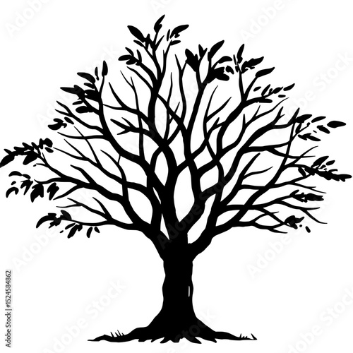 Silhouette Tree: Capturing the stark beauty of a tree silhouette, this image evokes a sense of calm and stillness, highlighting the intricate branches and leaves against a clear backdrop.