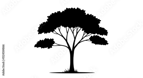 Silhouette of Tree: A striking, minimalist silhouette of a solitary tree, with a broad canopy and a sturdy trunk, stands in bold contrast, conveying a sense of resilience and timeless beauty.