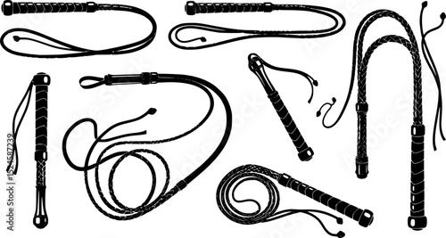 Illustration of a black bullwhip on a white background
