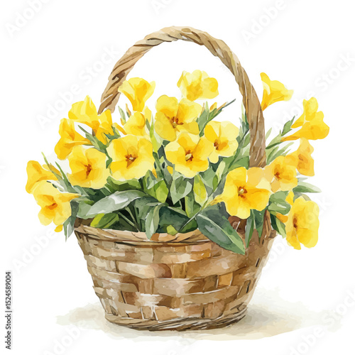 watercolor of A Thermopsis Flower Basket, vector high quality, isolated on a white background.